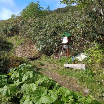 チセヌプリ登山口