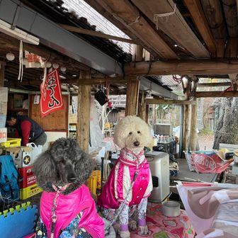 可愛すぎるぅ😍