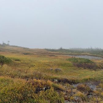 天気が良かったら月山みたいだっんでしょうね