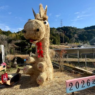 こんにゃく亭さんの干支🎠壷焼き芋が超甘いぞ！俺もー今年は帰る🍠