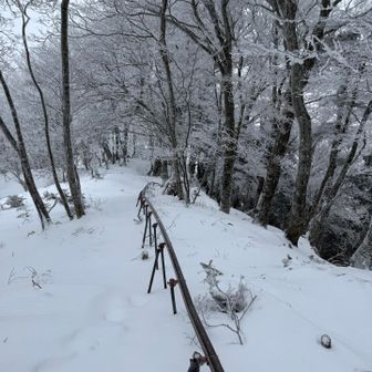 モノレール沿いに