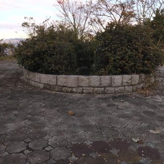 中央にあるこの中に