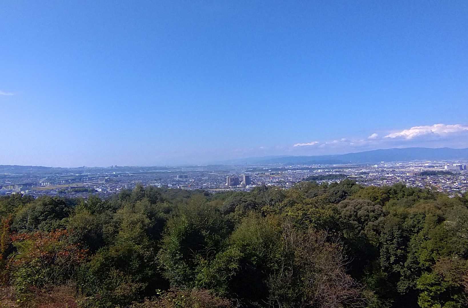 鴻の巣山 往復コースの写真