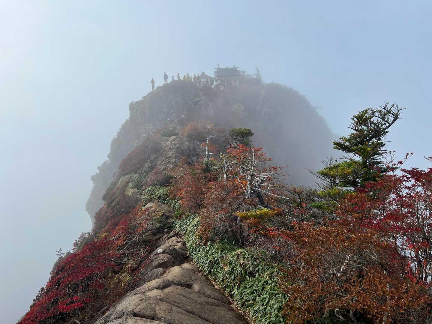 天狗岳から石鎚山山頂です。
ガスが晴れてくれません。
再度、ナイフリッジを通ります。
両側が崖の為、足がすくみました。

