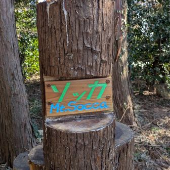 Mt.ソッカ　Ｓocca✌️