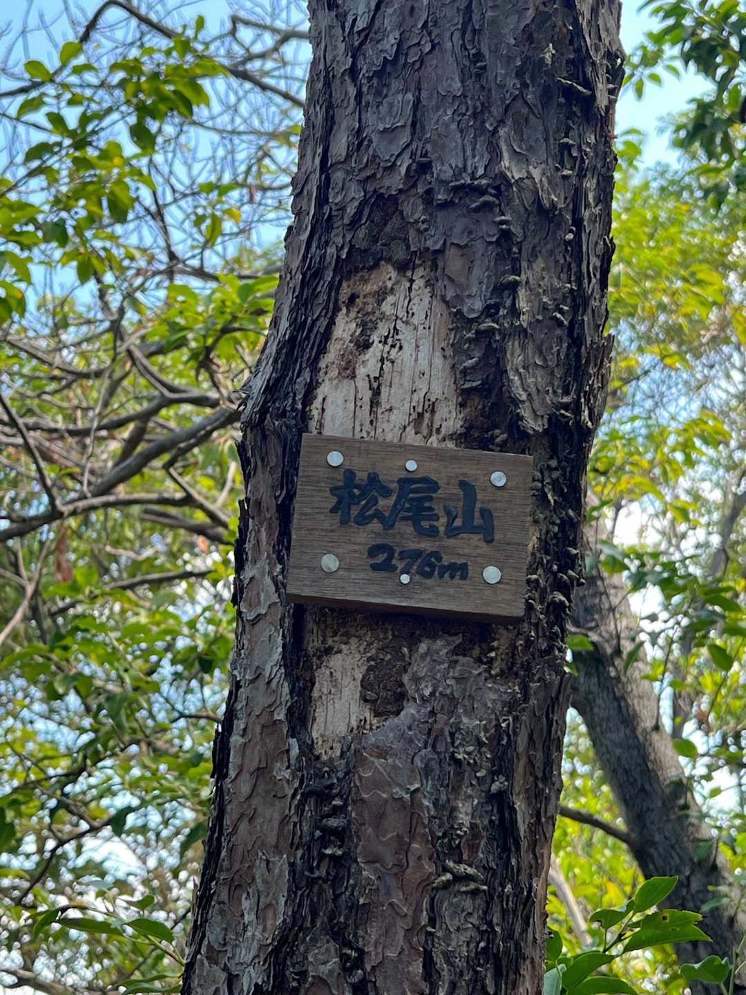 阪急嵐山駅-松尾山-苔寺・すず虫寺-上桂駅 縦走コースの写真