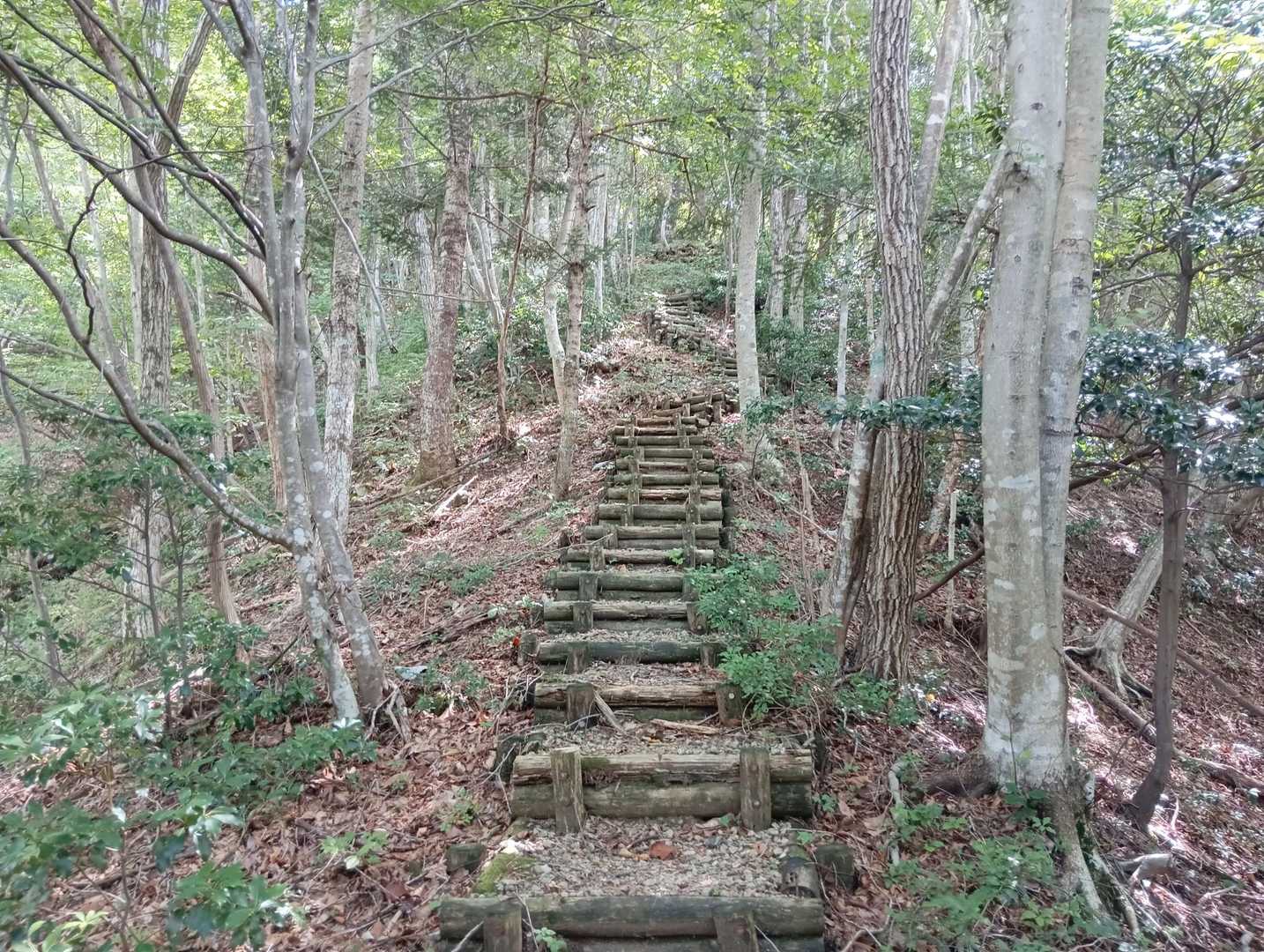 途中から後方をえぐい🥵