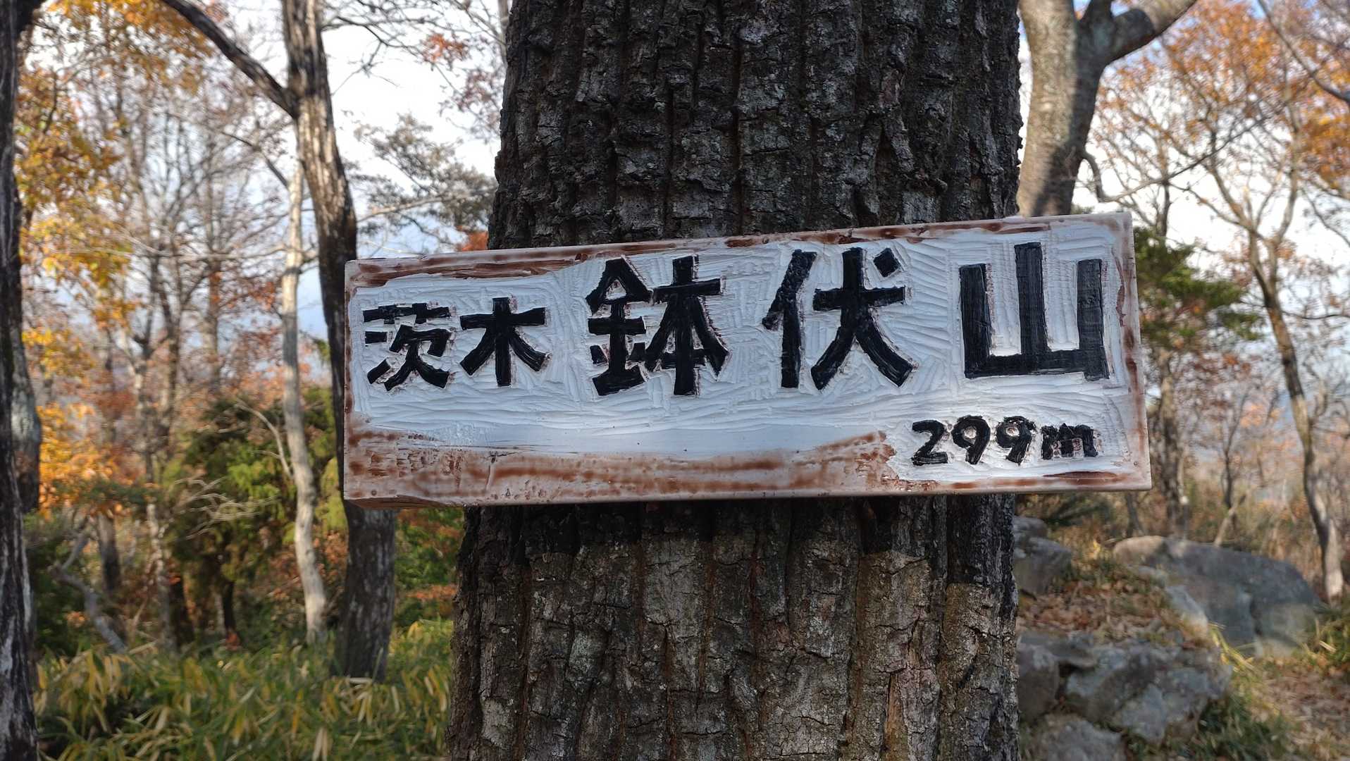 鉢伏山