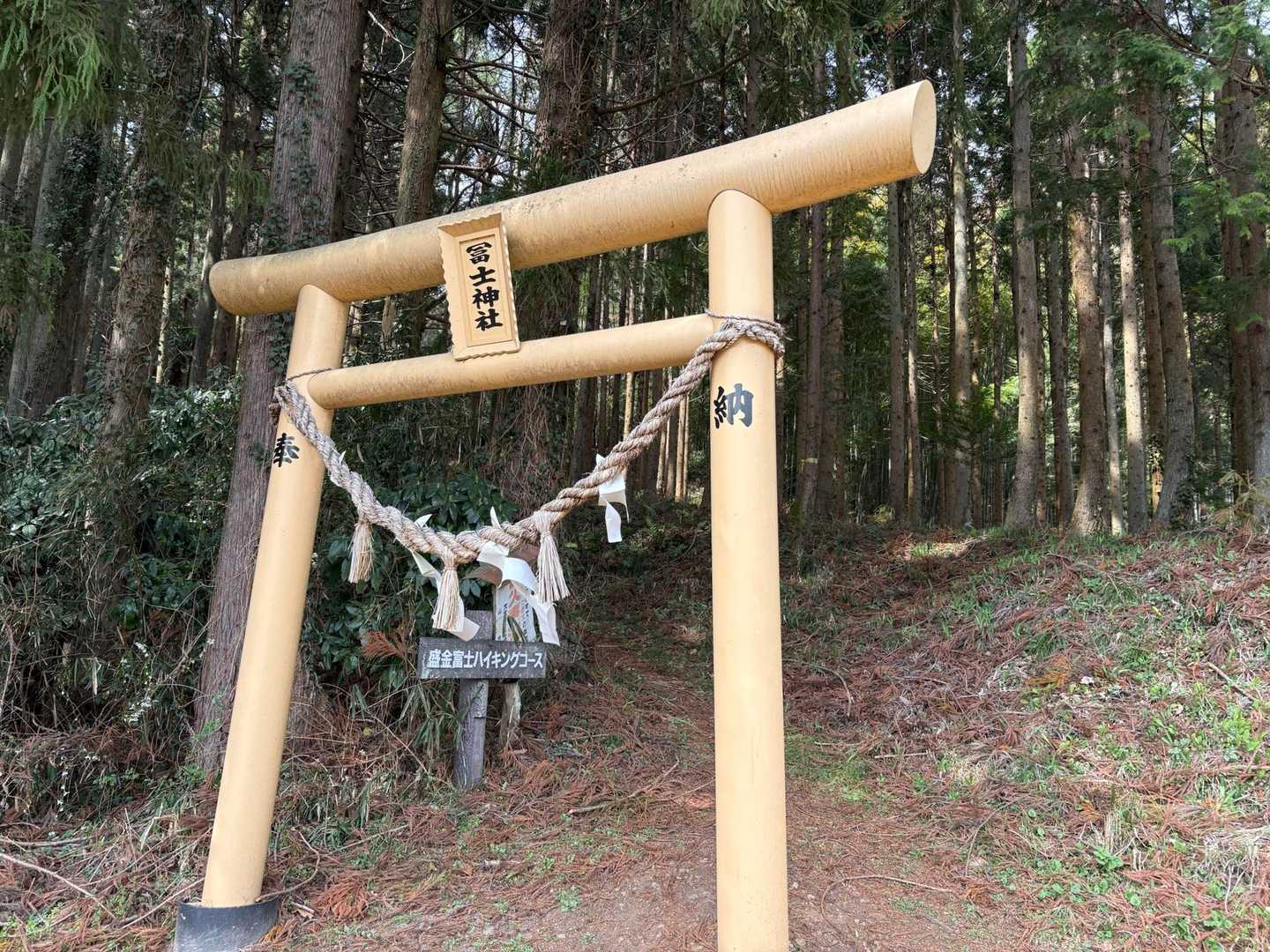 いきなりﾀﾞﾗﾀﾞﾗと一本調子で ”ふくらはぎに来る” ﾔﾂ~ｯ！w