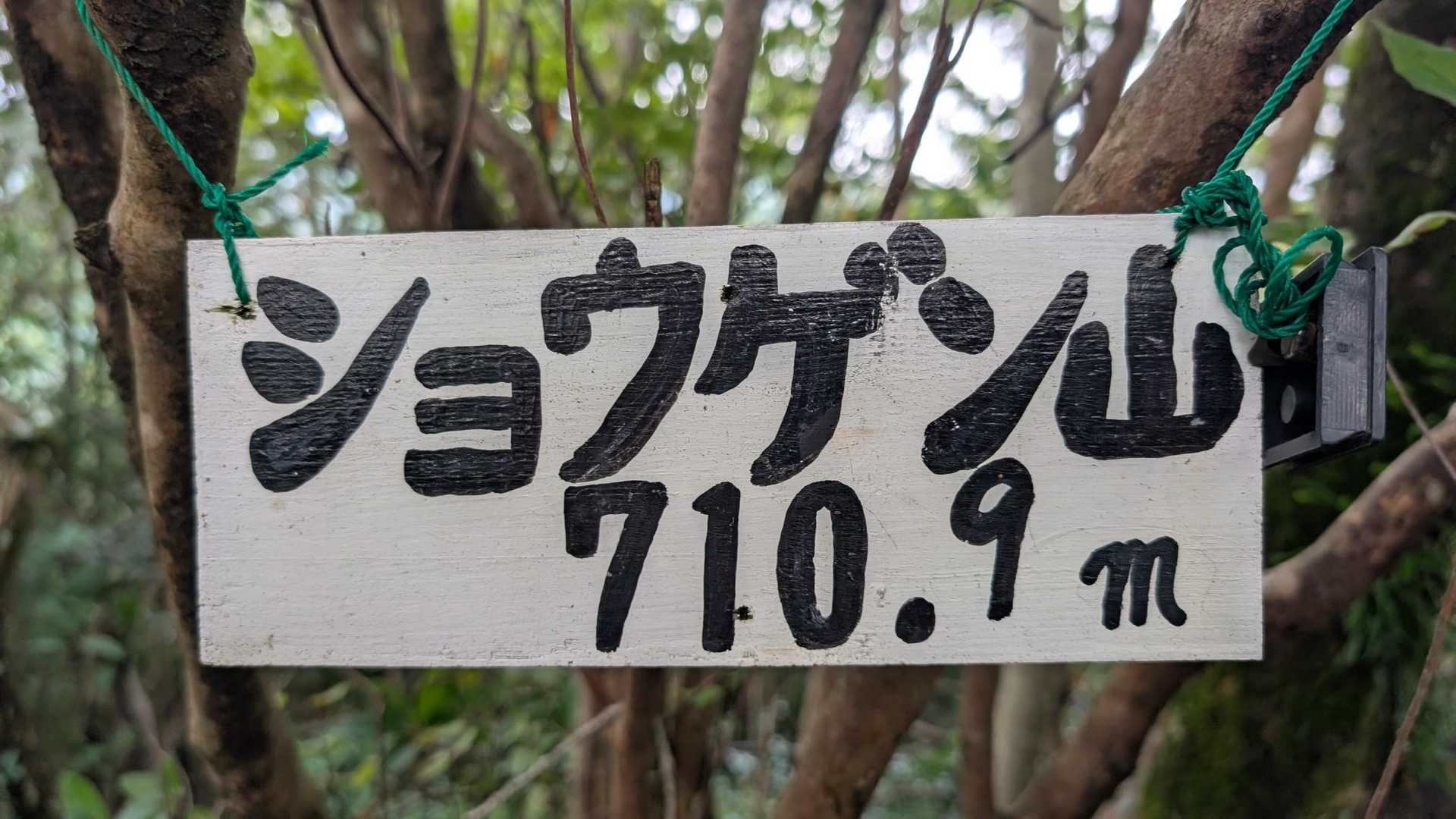 東鳳翩山-ショウゲン山-板堂峠 周回コースの写真