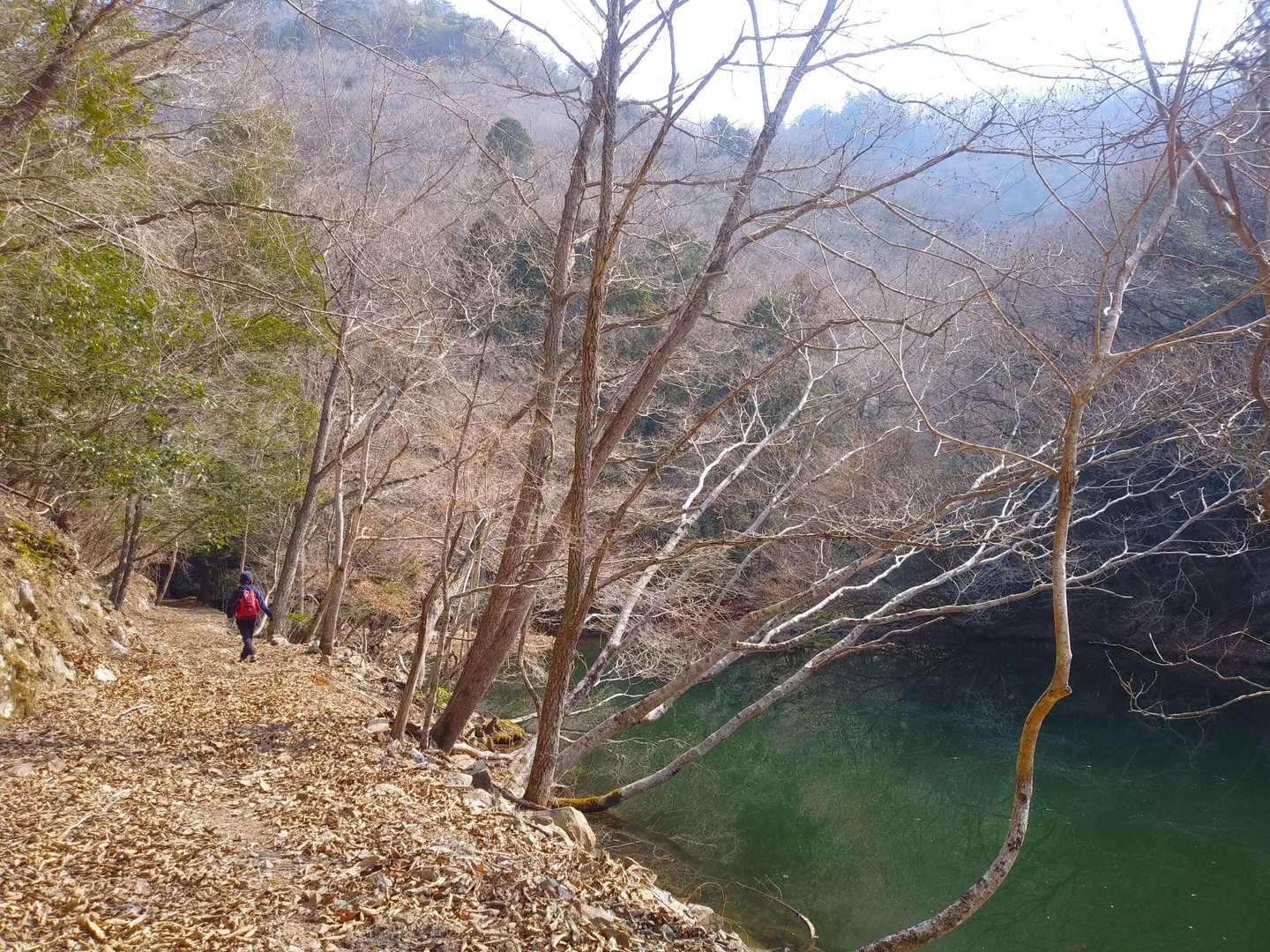 気を取り直して山野草散策に励みま～す😄✋
沢に池！
水分は申し分ないんだけどなぁ…😅
植物が全くないっ😱😱