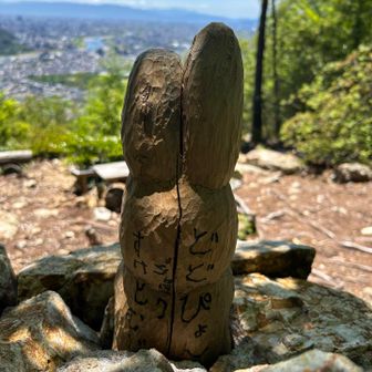 どどぴょん🐰の後ろ姿😆

落花生🥜に見えたのはナイショのハナシ🙊