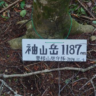 袖山岳山頂