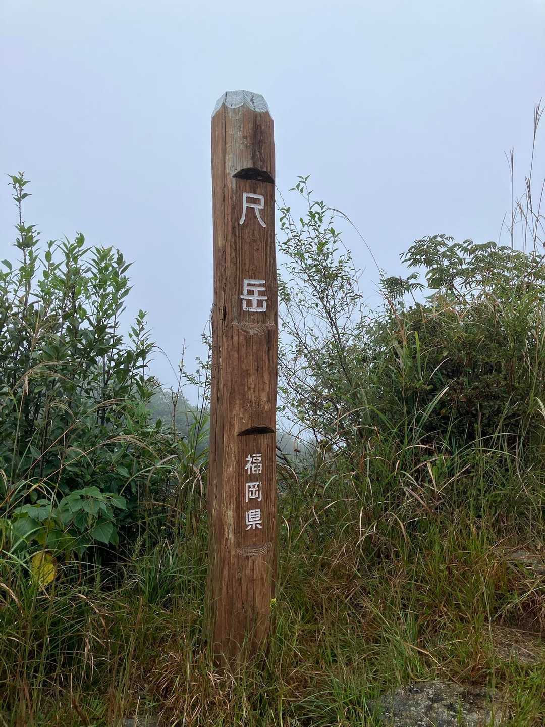 思った通りの景色😆
