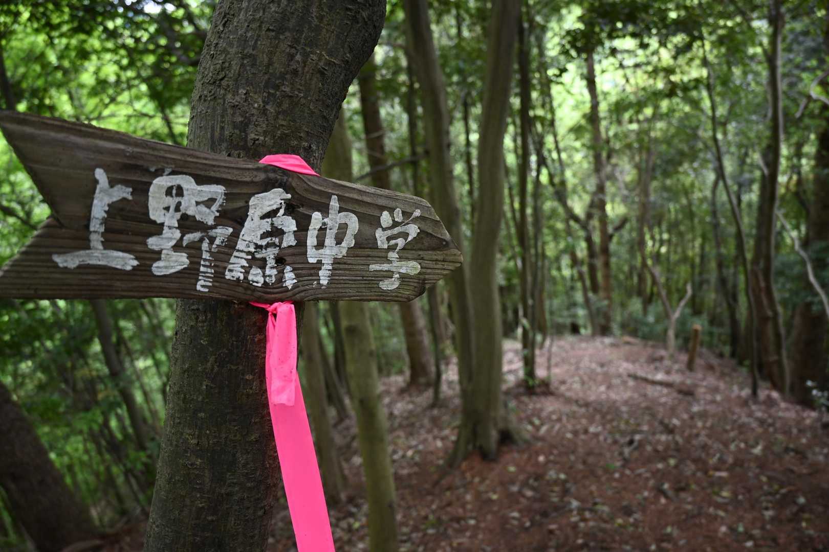 能岳-虎丸 周回コースの写真