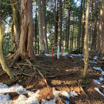 三峯山山頂　分岐からすぐ