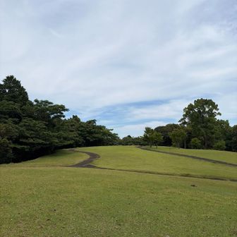 本当にきれいな公園です。