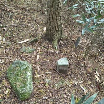 キノコ山三角点
キノコ山東屋の10mくらい東側の一番高い場所にあります
