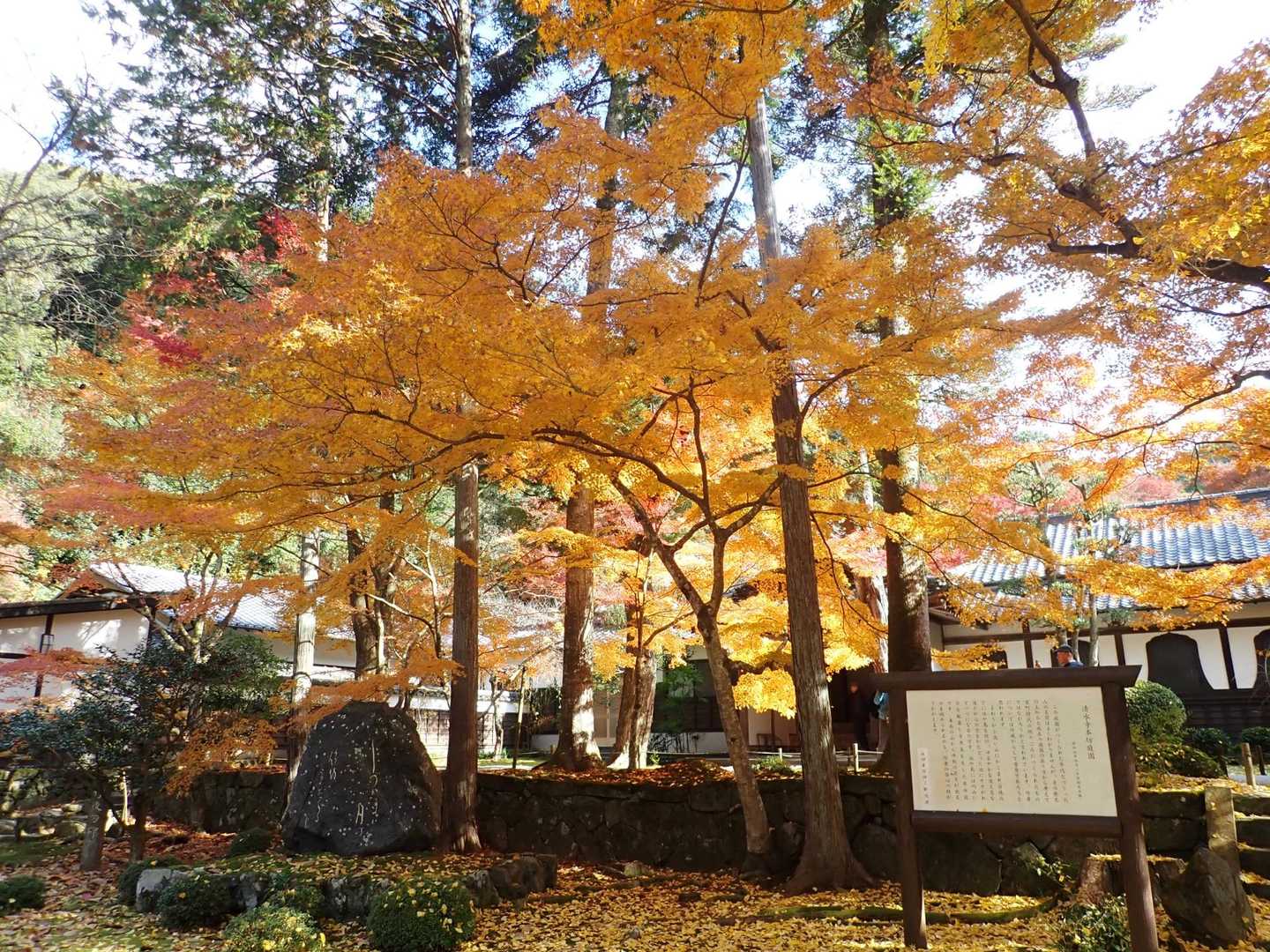 清水山 往復コースの写真