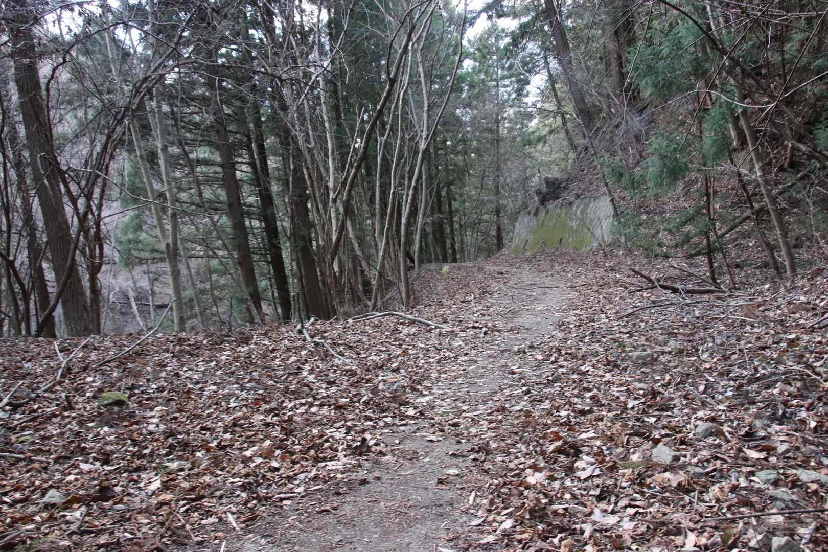 ⁉️
舗装路！