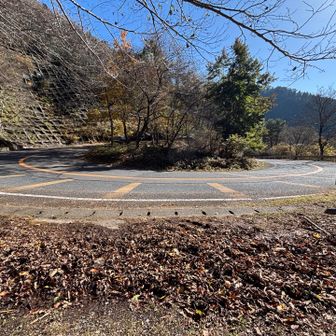 鈴鹿スカイラインに出ました