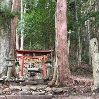 ⛩️参道を上って行くと…