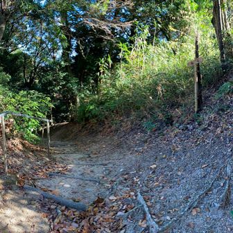 五十猛神社の向かい側（谷側）の下る坂