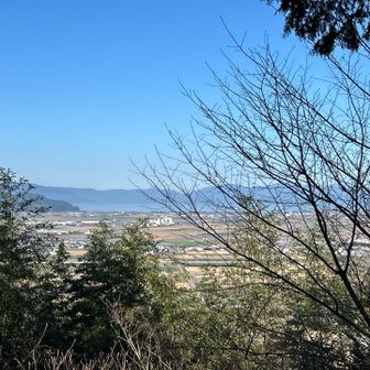 琵琶湖が望めます。昔は、真下まで琵琶湖があったとか