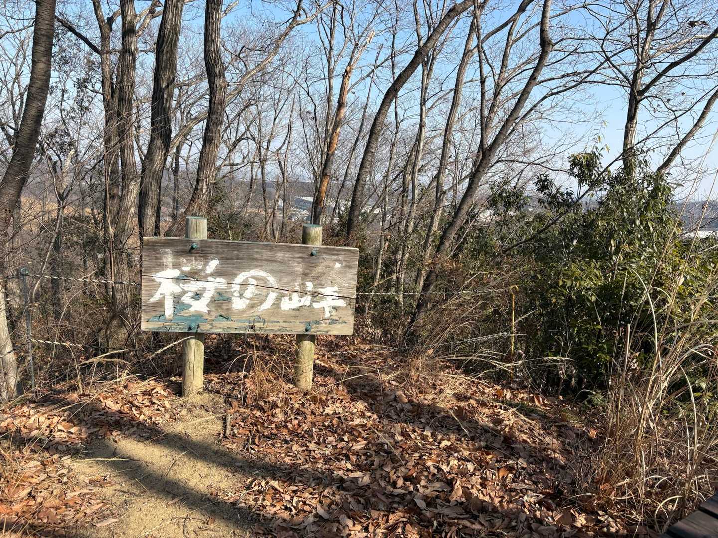 桜の峠？！さくら🌸咲くのかな？？