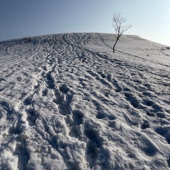 もうすぐ、ガーシー到着(;:°;Д;°:;)

なんでガーシーなのかと言うと、前にお騒がせしていたガーシーこと東谷義和氏のガーシーです😅
ひがしたにやま←長いし、、
巻機山をマッキーと呼ぶのと同じ感じです👍