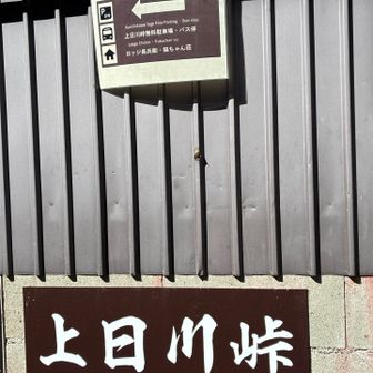 ここから下山