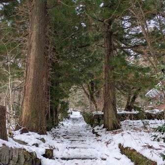 登山道を振り返り、今年は終了🙏☺️