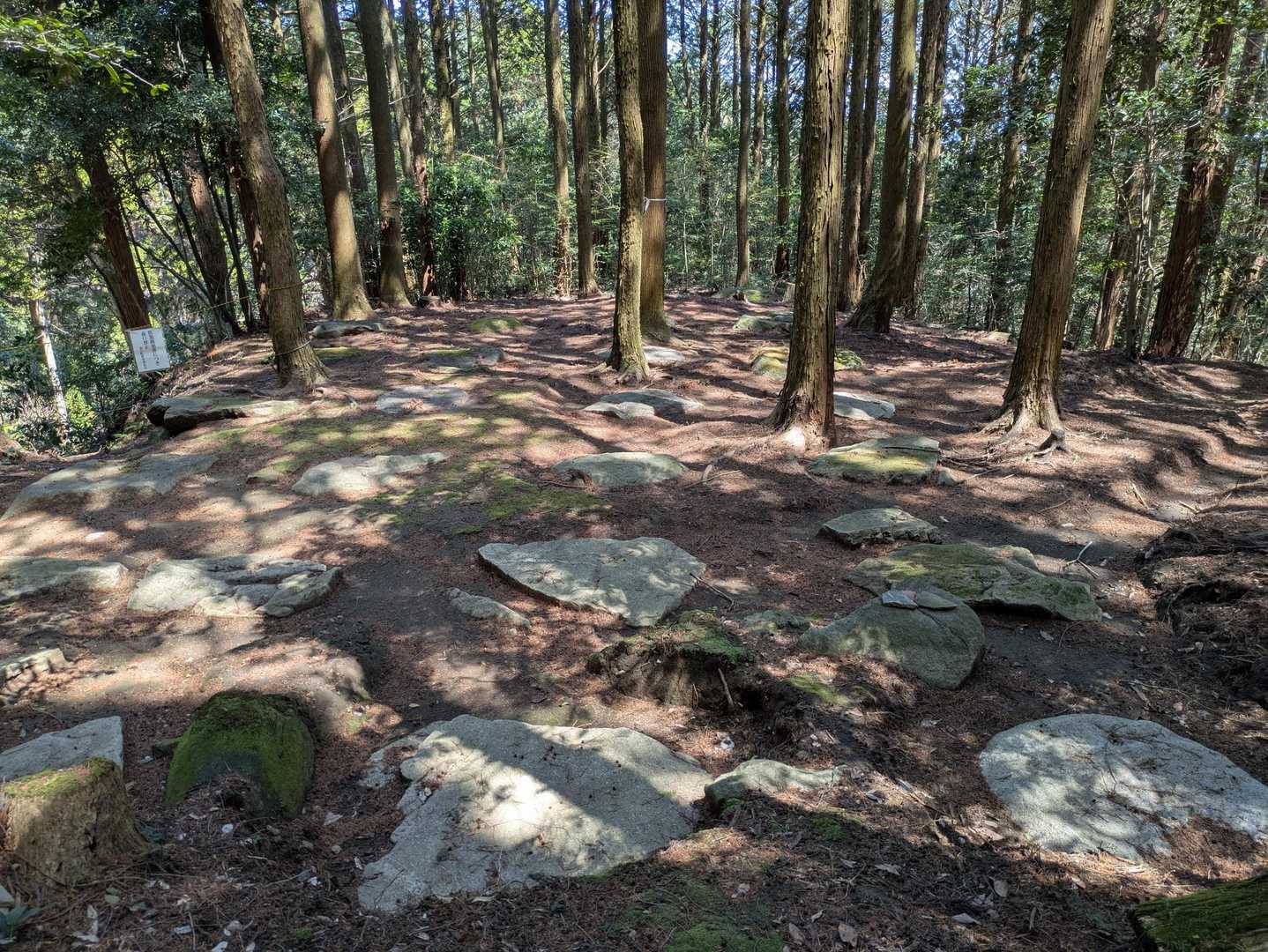 坊住北礎石群に寄り道してみる。