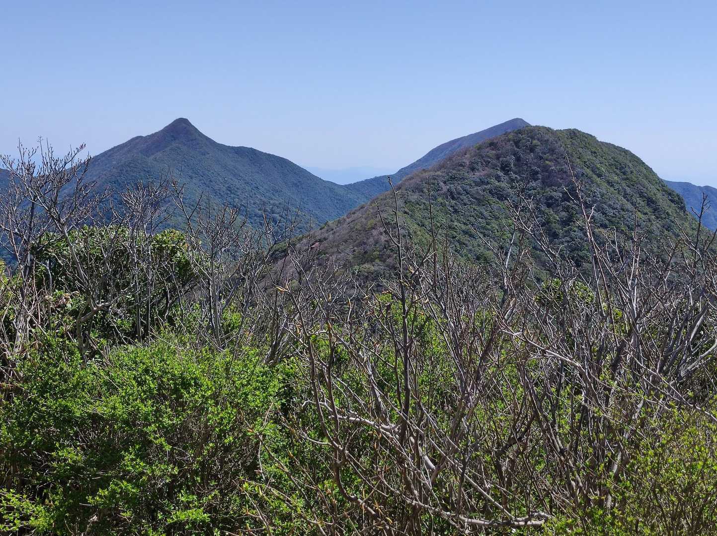 右に平岳。うーん行くべきか？散々悩んだ挙げ句、今日はここでUターン。