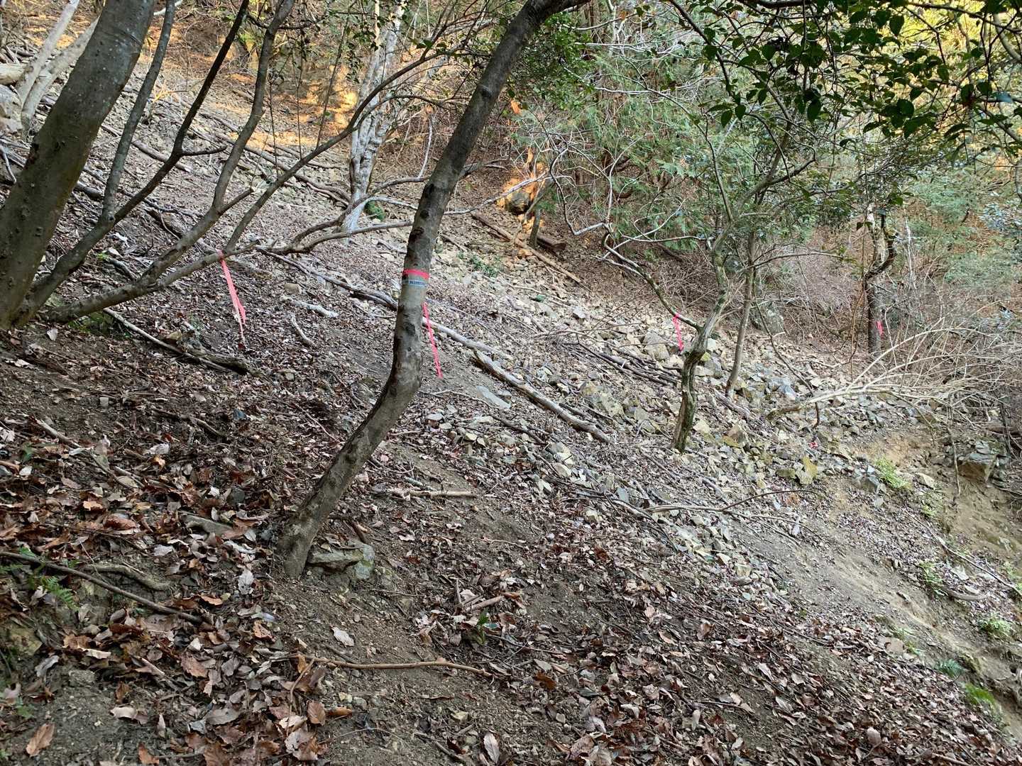 難所
登山道が崩落寸前
滑ったら30mほど落ち、戻って来れない急斜面
10m程上に迂回しました