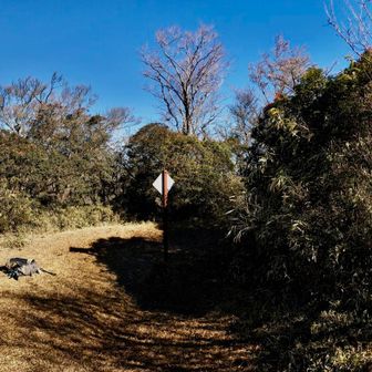 愛鷹山山頂
