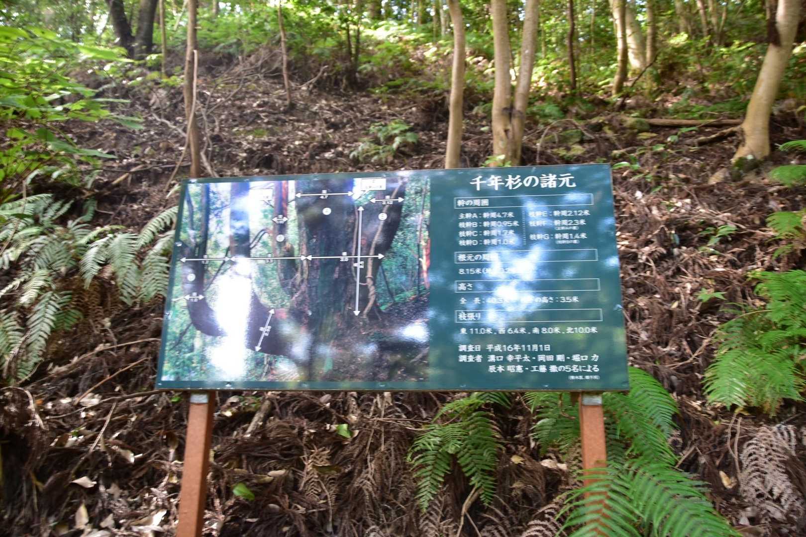 岳山 周回コースの写真