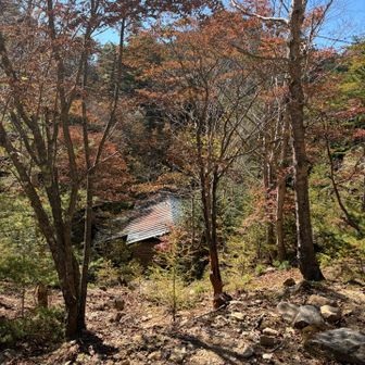 無人の趣深い大日小屋