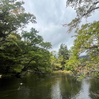 登り切ったら周回するので左へ橋を渡ります