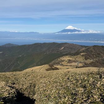 さぁ、進みます