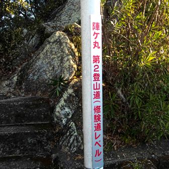 厳しいのは
此処の鎖だけだった