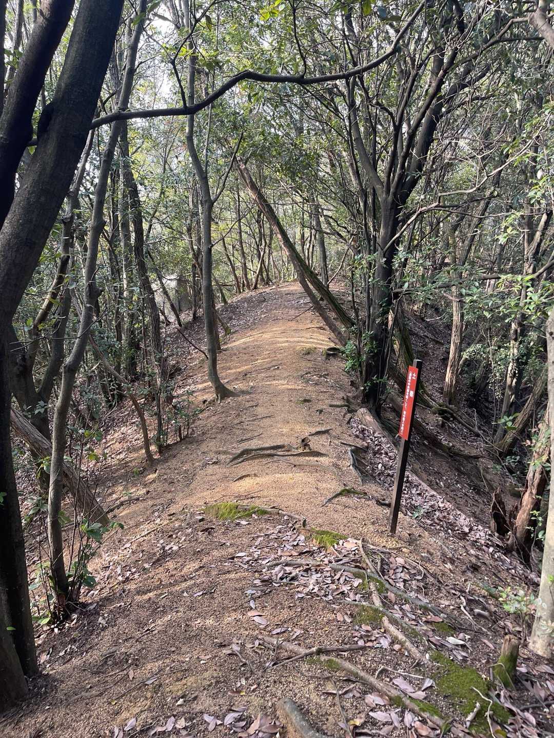 尾根