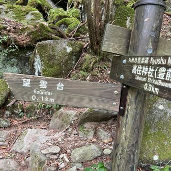 なんか楽しそう