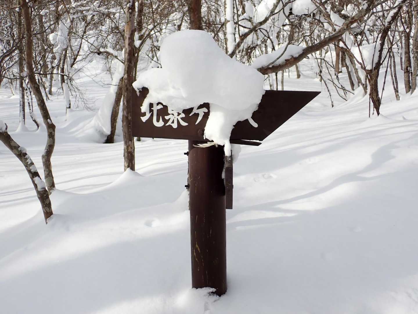たっぷりの積雪！