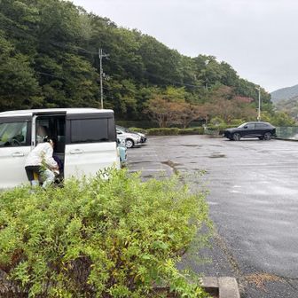 雨なのに車結構停まってました🚗
私の含め7台
皆さん雨の中凄いな☂️