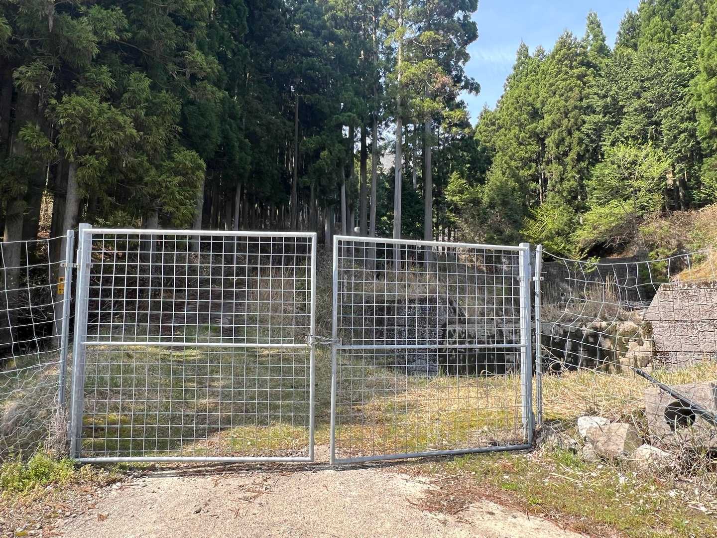 このｹﾞｰﾄの向こう側から出てきました。