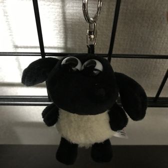 しょうた