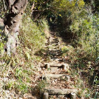 分かっていたけど、登るのヤダ😅
