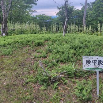 平家山から後平家山までは直ぐに着きました😁
