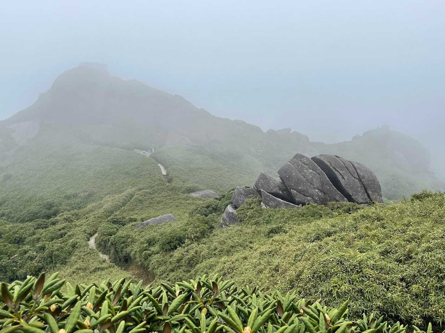 淀川登山口-花之江河-黒味岳-宮之浦岳-永田岳-縄文杉-大 縦走コースの写真